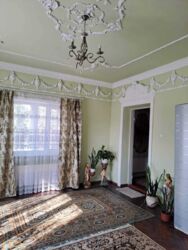 Продам розкішний будинок 259+ м2 в Новомиколаївці. фото 13
